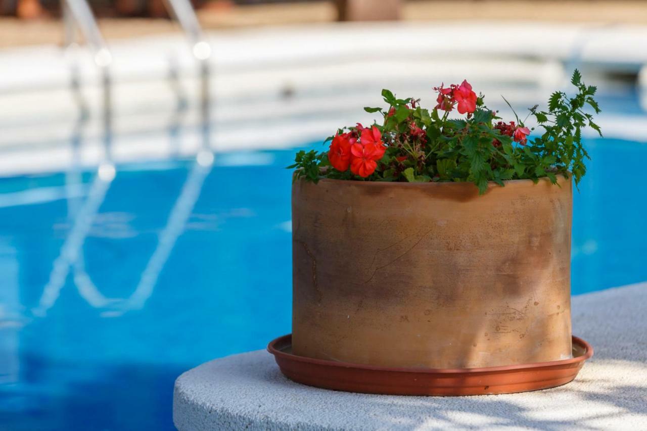Casita Las Malvinas En Villa De Nijar Con Piscina ภายนอก รูปภาพ